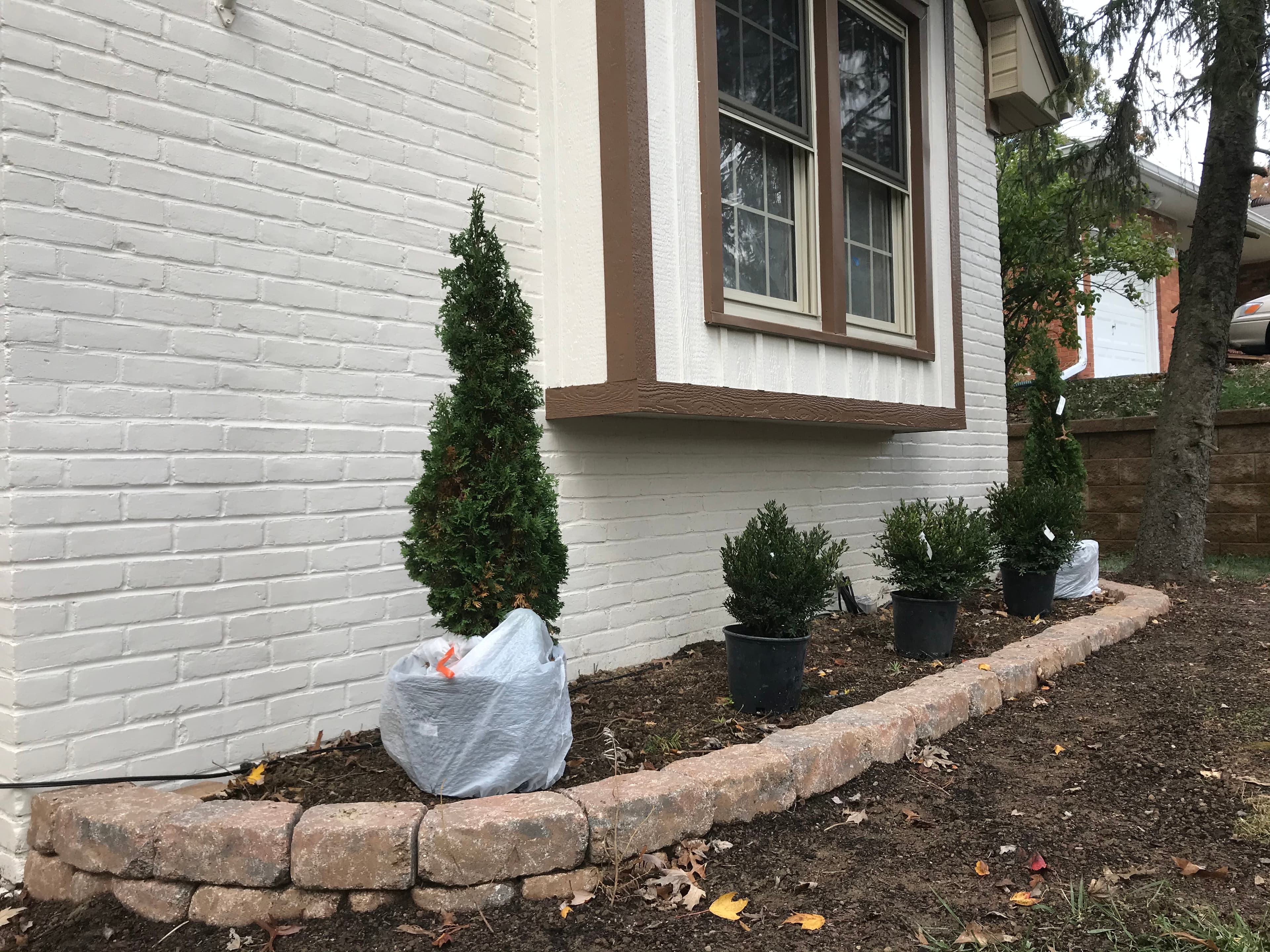 Siding and Landscaping